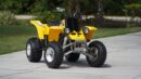 2006 Yamaha Banshee SE 50th Anniversary