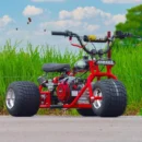 Mini Trike Astatic Red (Platinum Edition) - Mini Trike Wheel