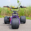 Mini Trike Special Edition TGV “Purple Haze” 2024-2025 - Mini Trike Wheel